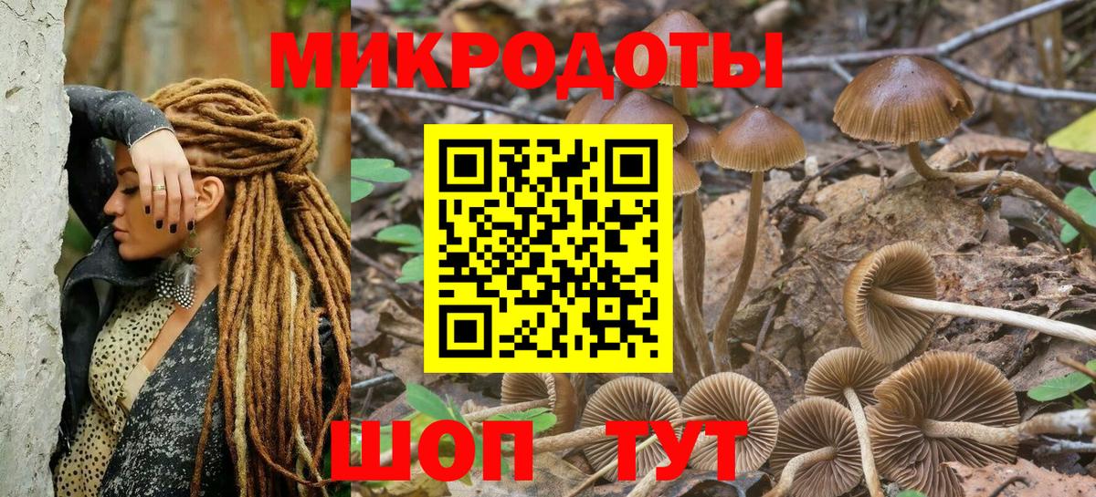Ачхой-Мартан  купить   Вход с VPN  Псилоцибиновые грибы мицелий  Галлюциногенные грибы мухоморы 