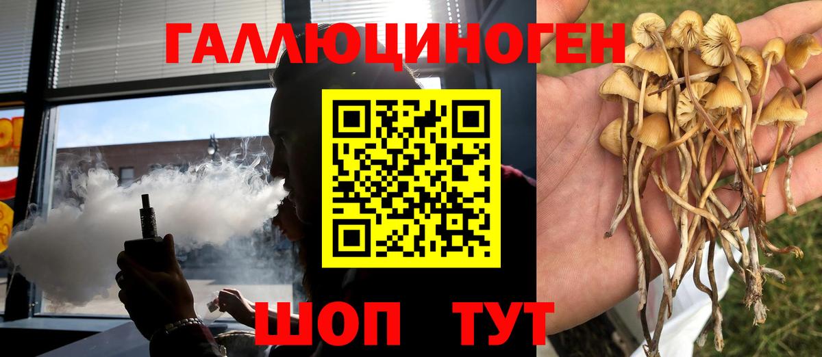 Псилоцибиновые грибы MAGIC MUSHROOMS Ачхой-Мартан